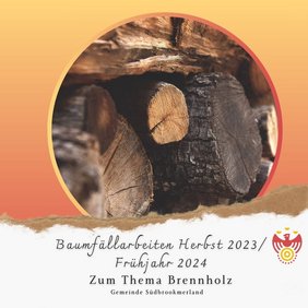 Holz