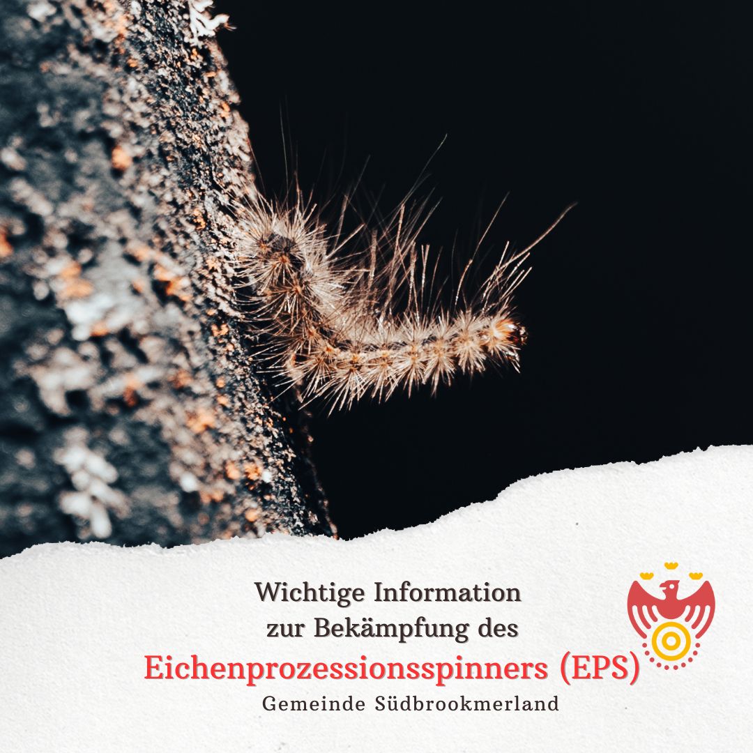 Eichenprozessionsspinner
