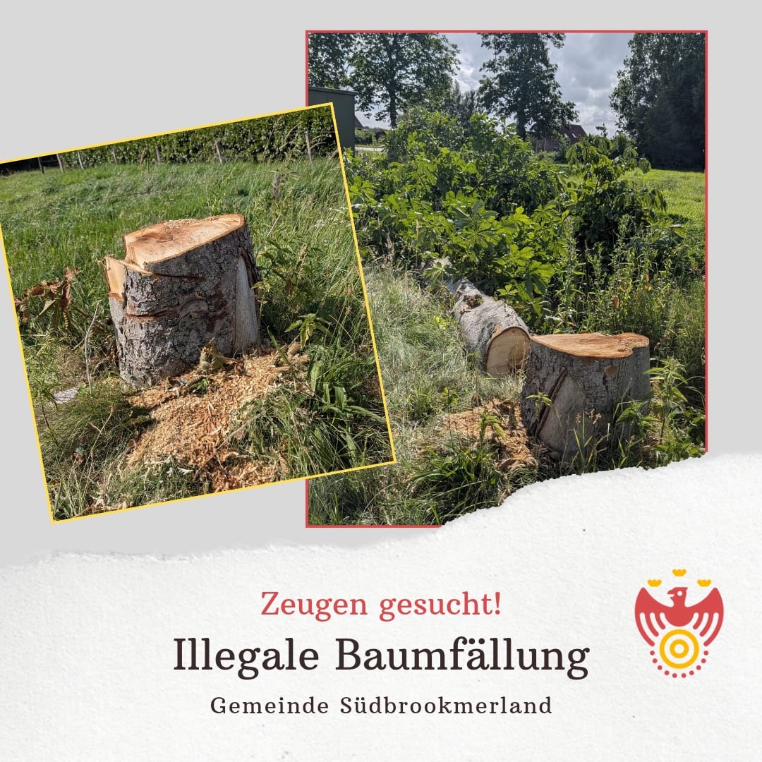 Gefällte Bäume