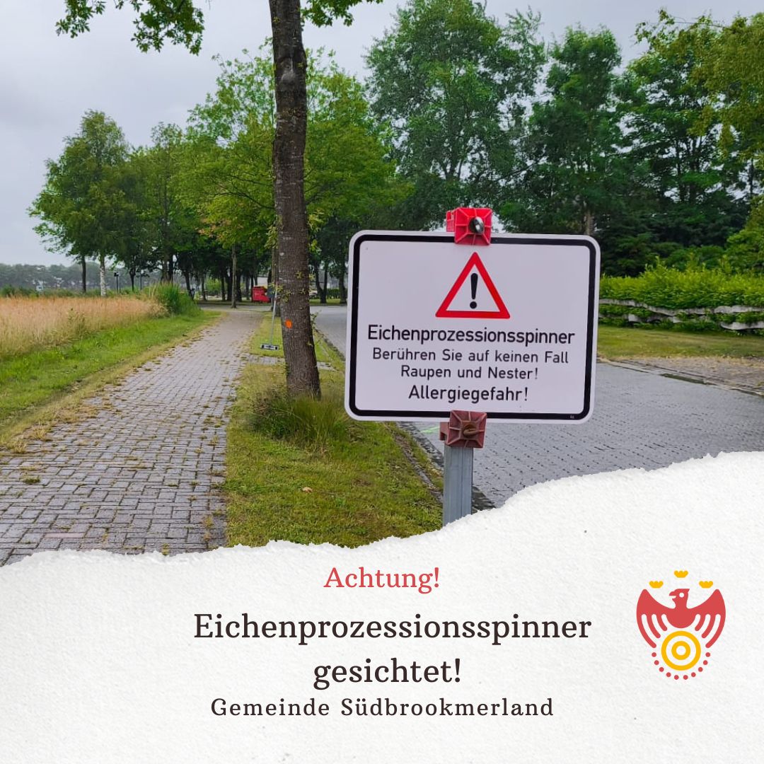 Hinweisschild zur Eichenprozessionsspinnern